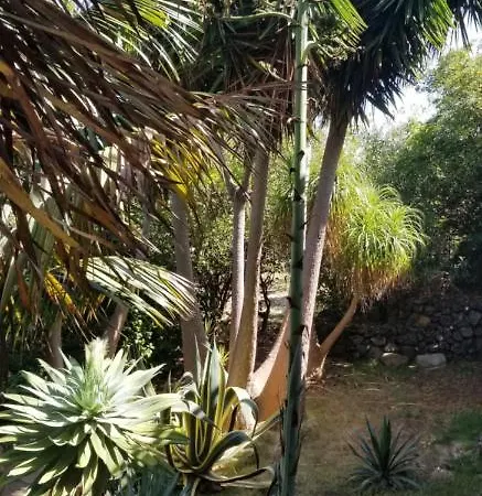 Apartman La Casita De La Vega *