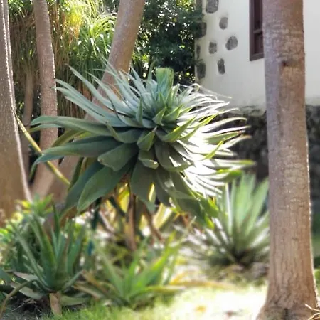 La Casita De La Vega Apartman Icod de los Vinos