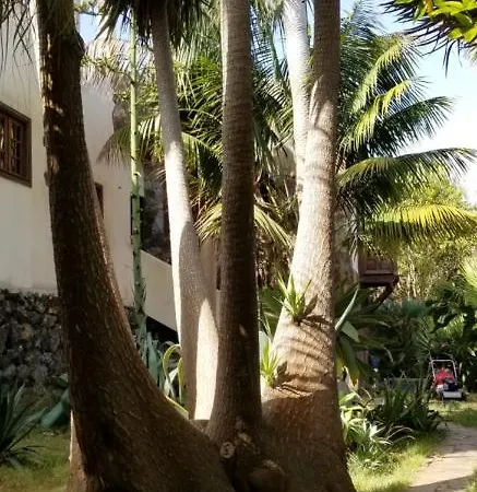 La Casita De La Vega Apartment Icod De Los Vinos