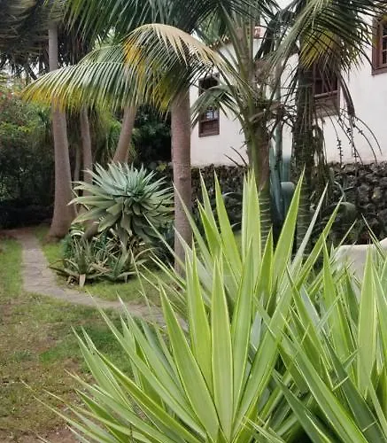 La Casita De La Vega 伊科德·德·洛斯·维诺斯