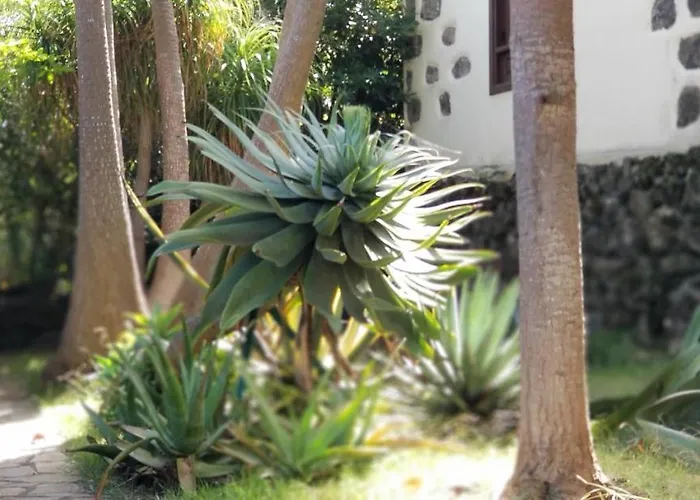 La Casita De La Vega 公寓 伊科德·德·洛斯·维诺斯