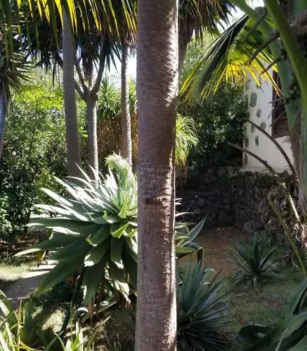 La Casita De La Vega 伊科德·德·洛斯·维诺斯