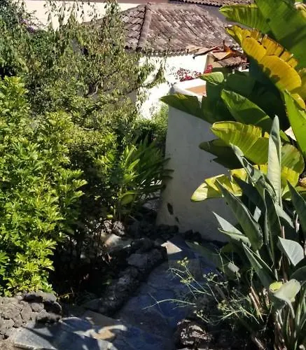 公寓 La Casita De La Vega 伊科德·德·洛斯·维诺斯