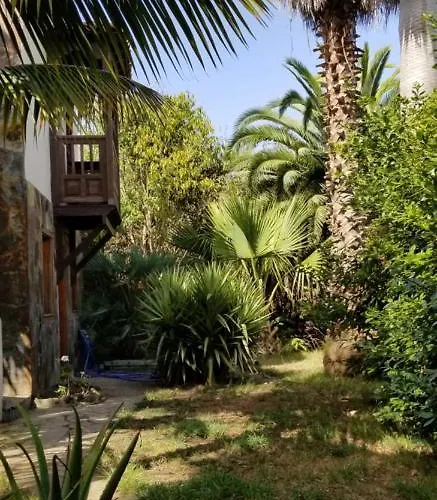 La Casita De La Vega 伊科德·德·洛斯·维诺斯