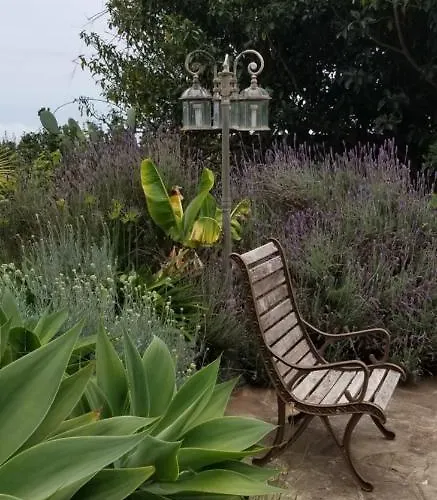 La Casita De La Vega 公寓