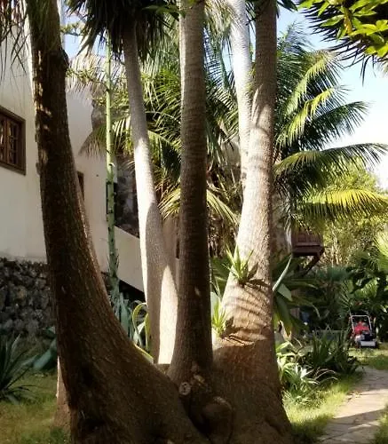 La Casita De La Vega 公寓 伊科德·德·洛斯·维诺斯