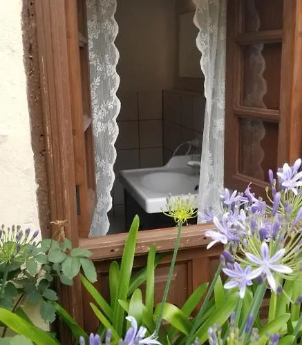 La Casita De La Vega * 伊科德·德·洛斯·维诺斯