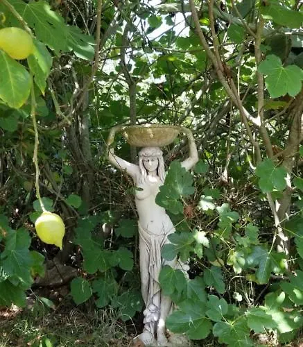 公寓 La Casita De La Vega *